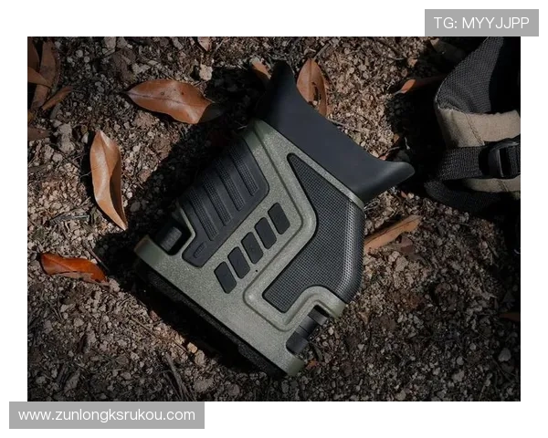 尊龙z6国际站为玩家提供的多元化游戏体验与优质服务详解