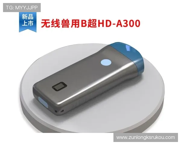 尊龙凯时电脑版游戏下载与安装教程，详细步骤帮助新手快速上手游戏玩法